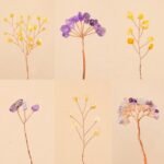 DIY Natural Crystal Tree Kit
